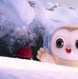 吃瓜视频每日大赛