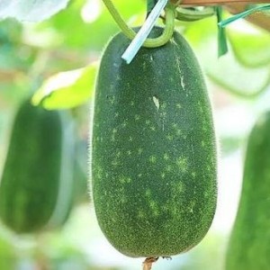 热门大瓜有哪些,揭秘明星幕后故事