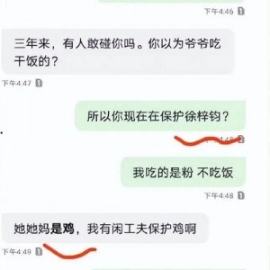 吃瓜炸裂聊天记录视频,揭秘视频背后的惊人真相
